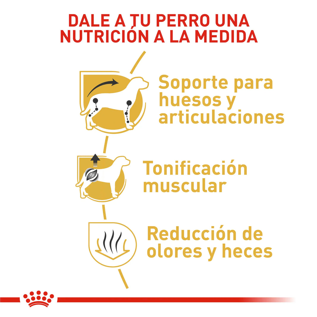 Alimento Royal Canin Bhn Dachshund Adulto x 1.5 Kg