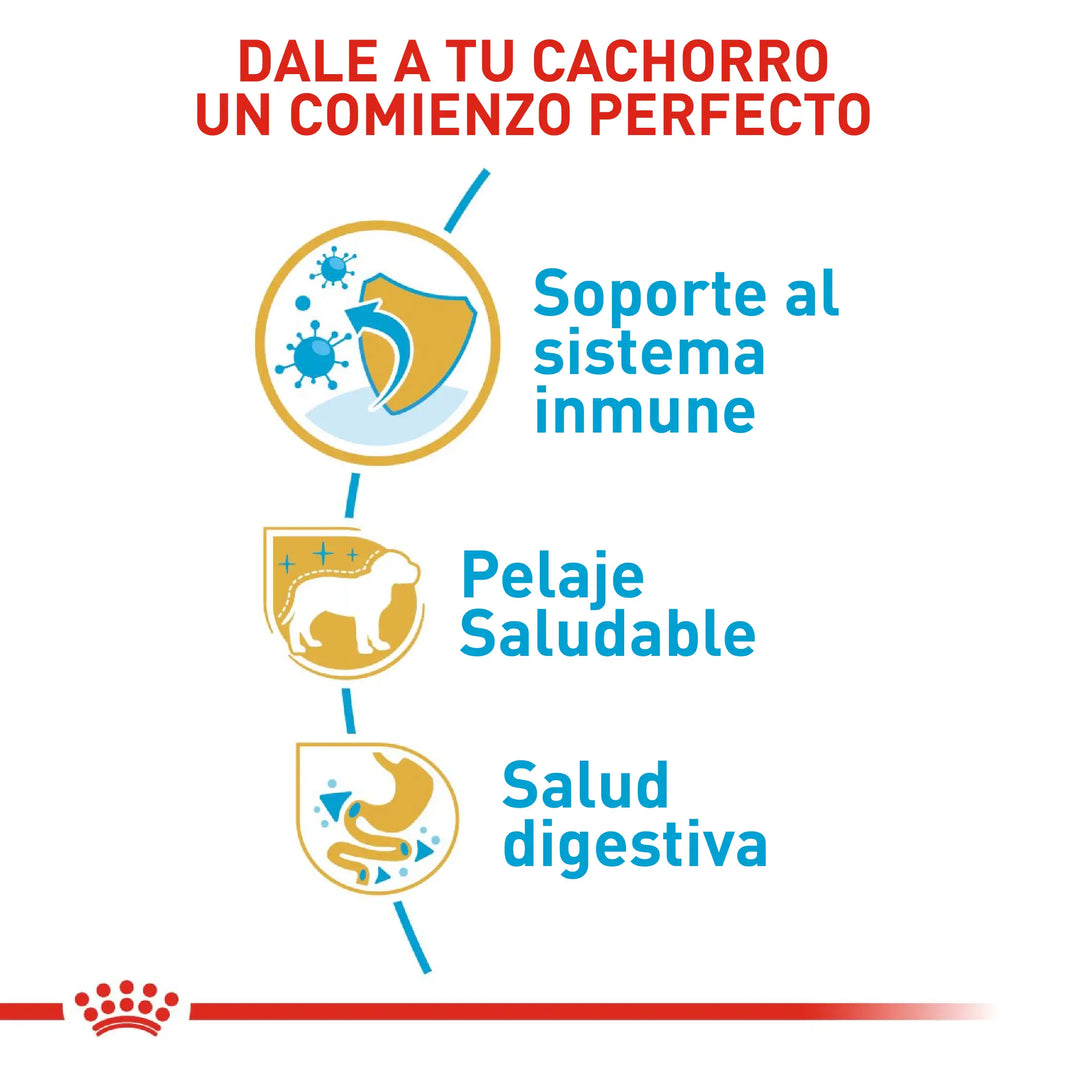 Alimento Royal Canin Bhn Poodle Puppy x 3 Kg