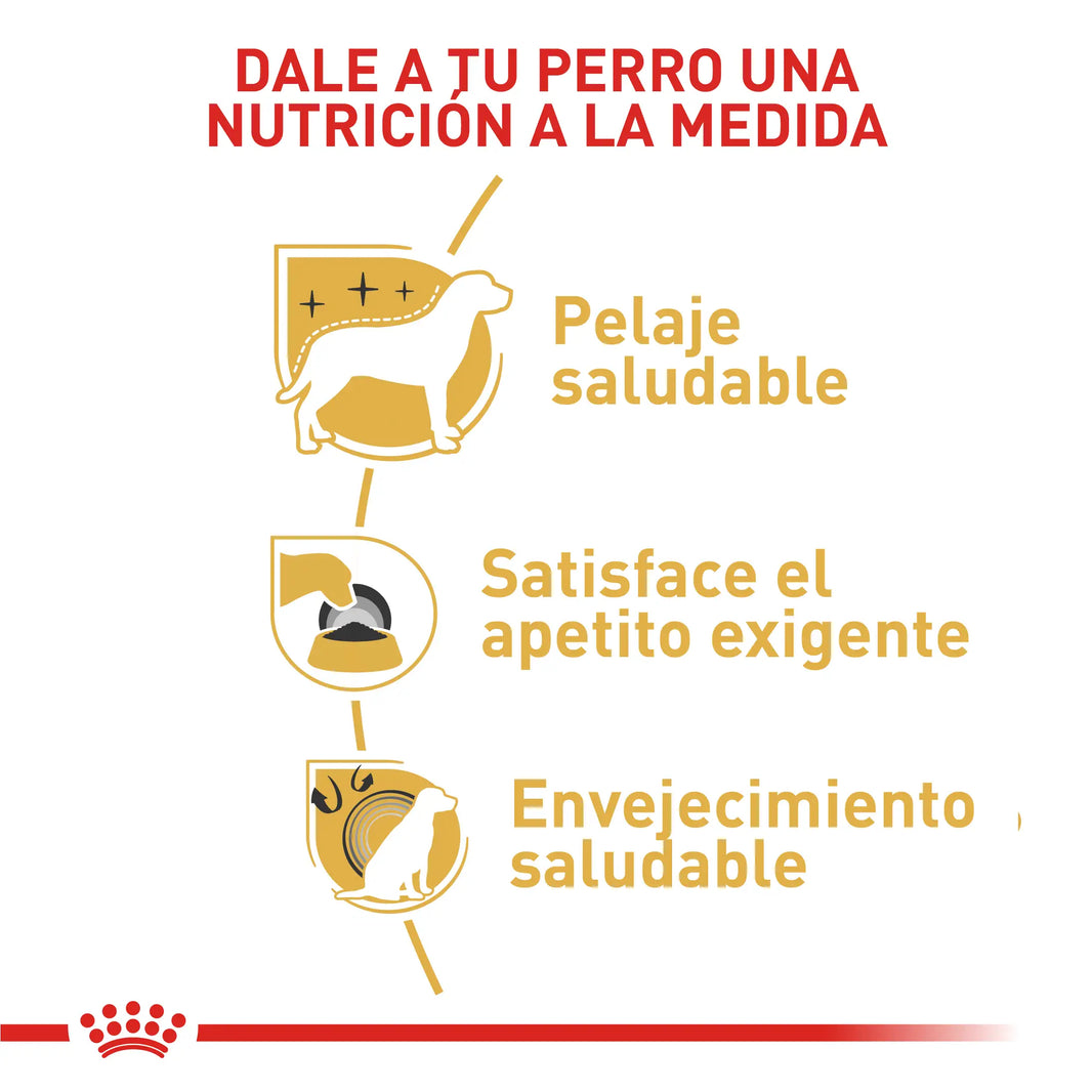 Alimento Royal Canin Bhn Yorkshire Adulto