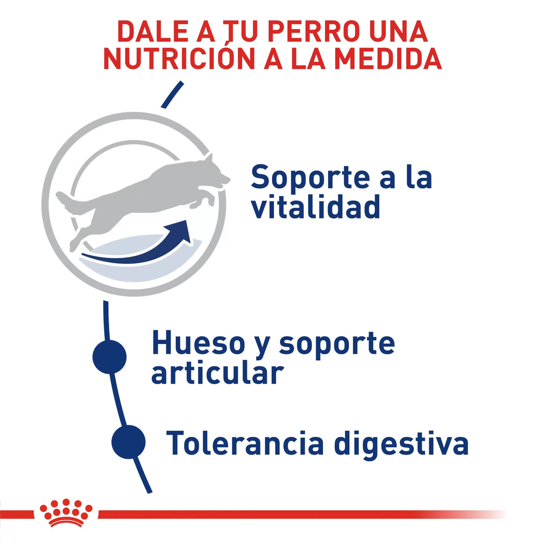 Alimento Royal Canin Shn Maxi Adulto 5+ 15Kg