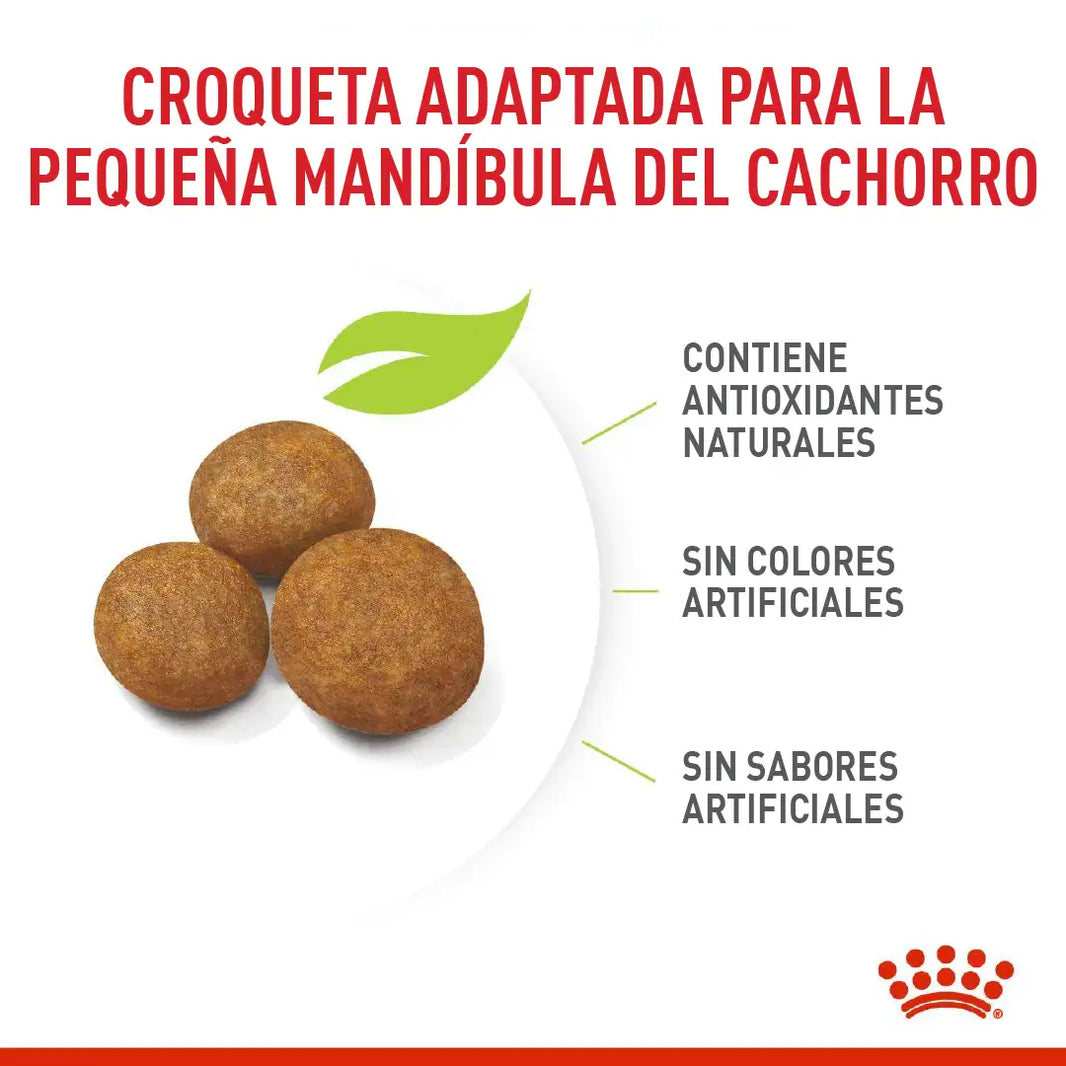 Alimento Royal Canin Shn Maxi Puppy