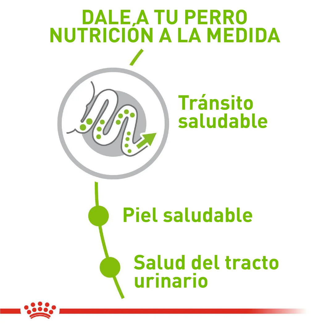 Alimento Royal Canin Shn X-Small Adulto