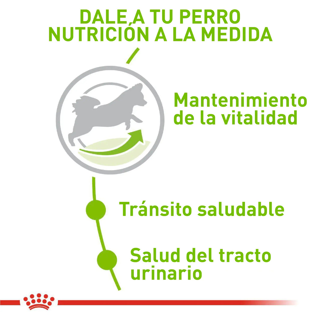 Alimento Royal Canin Shn X-Small Adulto 8+ 1.5 Kg