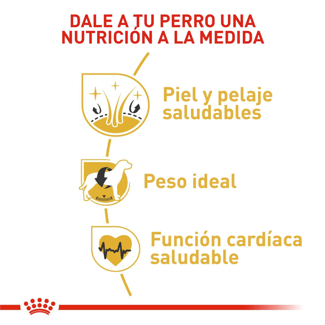 Alimento Royal Canin Bhn Cocker Adulto x 3 Kg