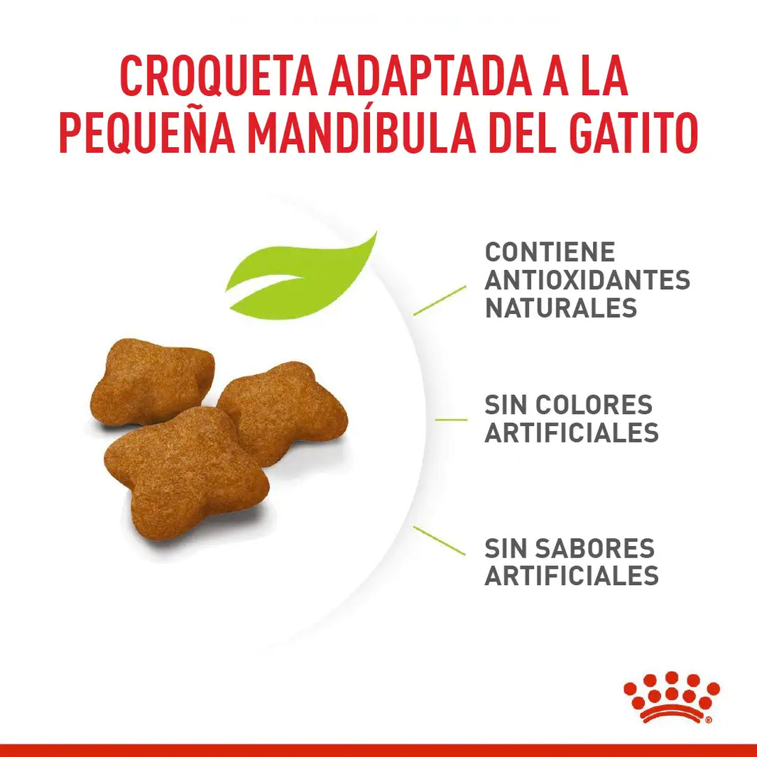 Alimento Royal Canin Fhn Kitten Esterilizado