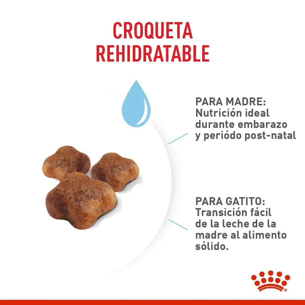 Alimento Royal Canin Fhn Mother&Babycat