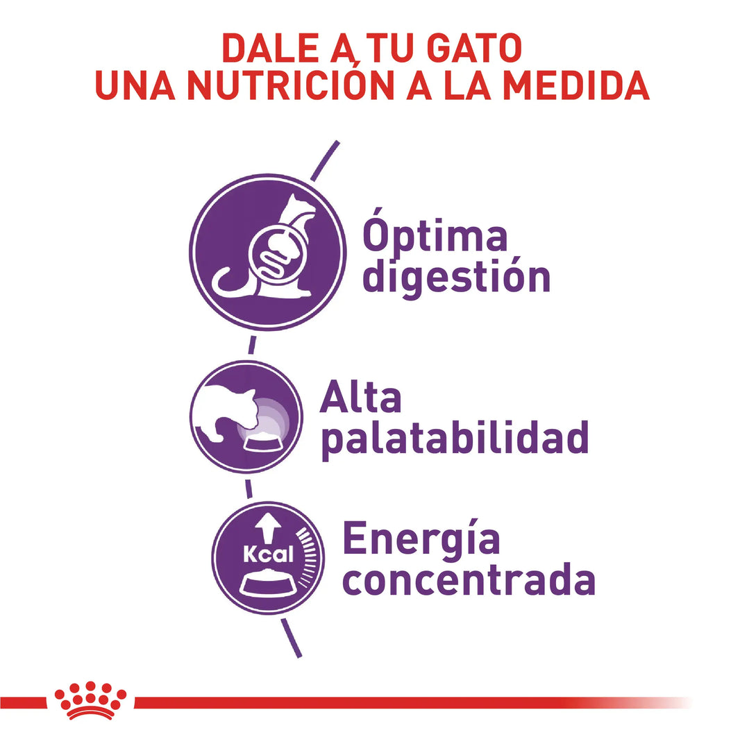 Alimento Royal Canin Fhn Sensible 2 Kg