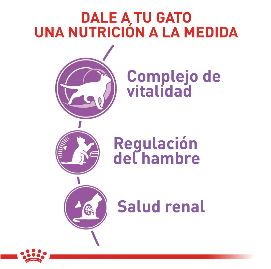 Alimento Royal Canin Fhn Esterilizado 7+ 1.5Kg