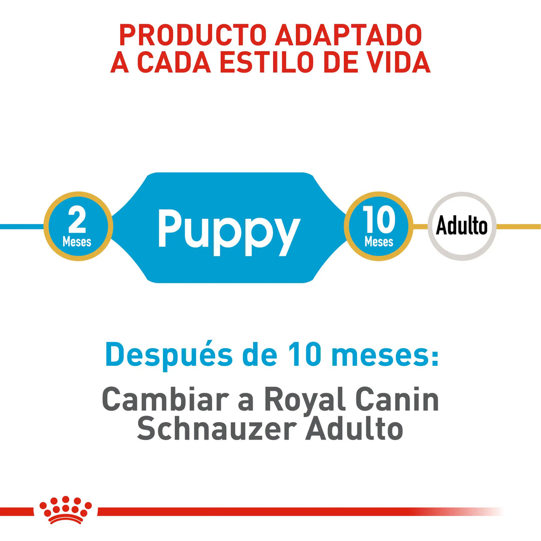 Alimento Royal Canin Bhn Mini Schnauzer Puppy x 1.13 Kg