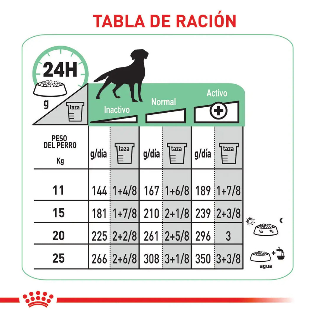 Alimento Royal Canin Ccn Medium Digestive Care 3Kg