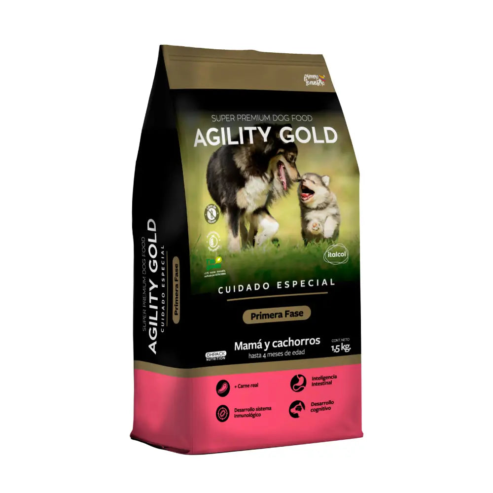 Agility Gold Cachorros Primera Fase