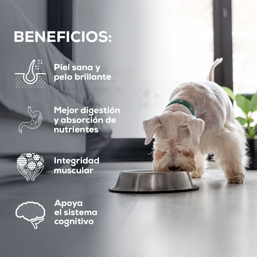 Comida para Perro Grandvita adulto raza pequeña