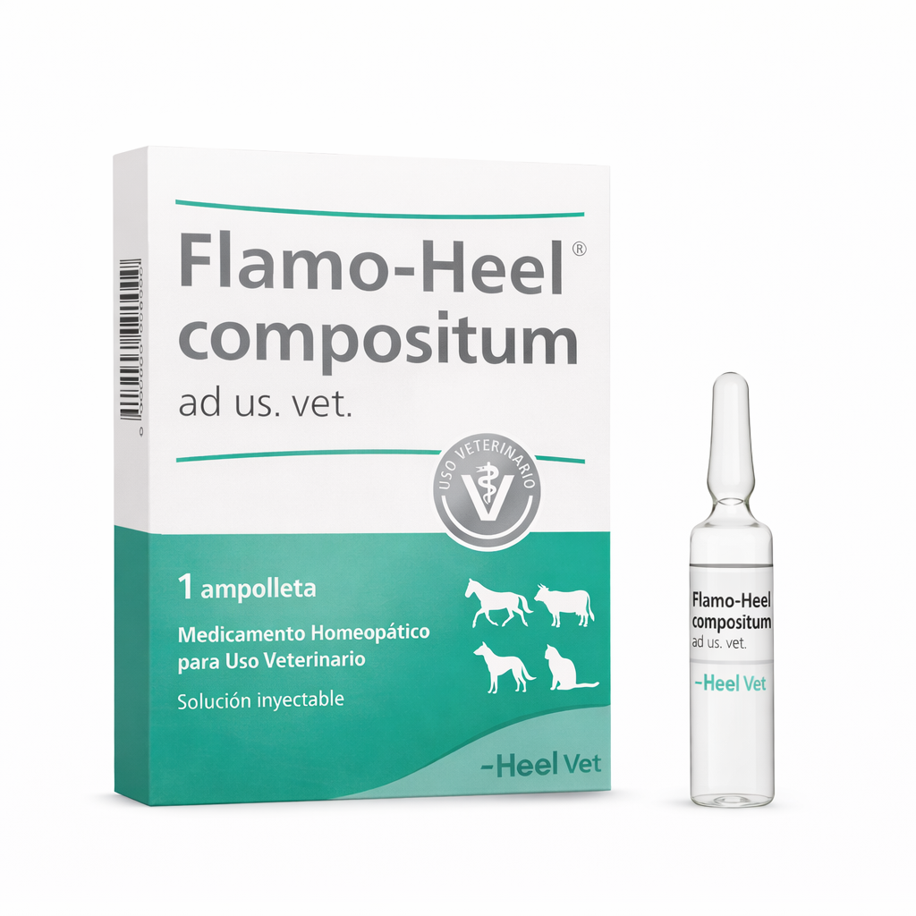 FLAMO-HEEL COMPOSITUM AD US VET AMPOLLA