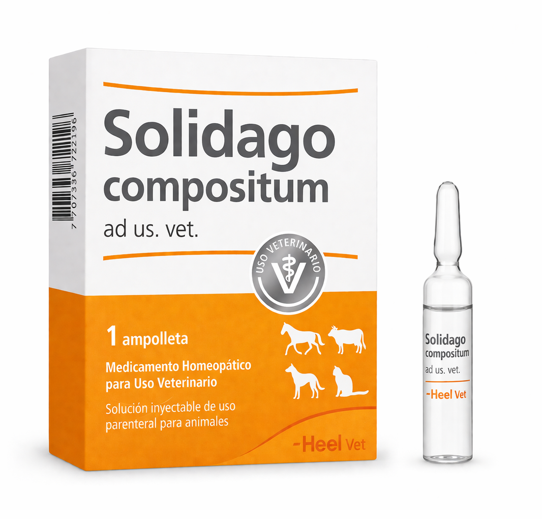 SOLIDAGO COMPOSITUM AD US VET AMPOLLA - Heel