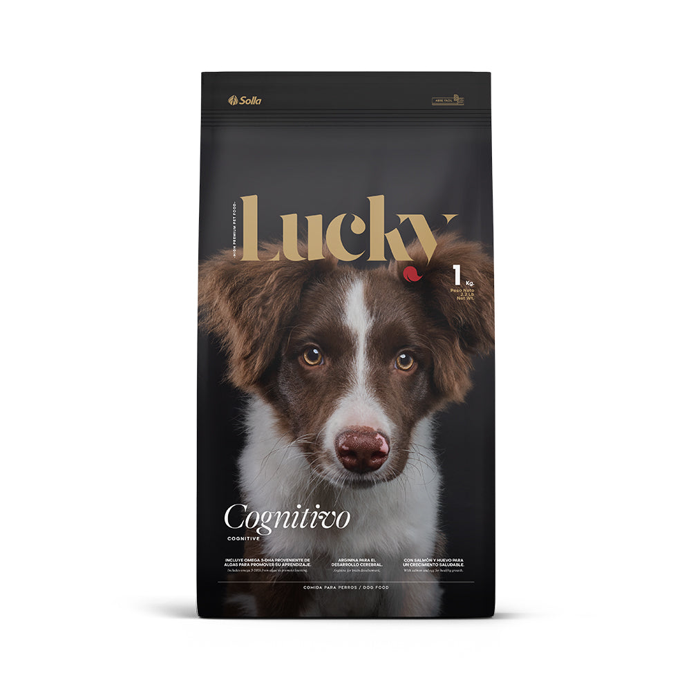 Lucky Desarrollo Cognitivo Ext 12x1Kg