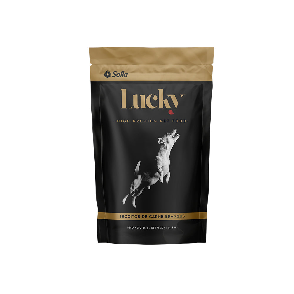 Lucky Trocitos Carne Brangus