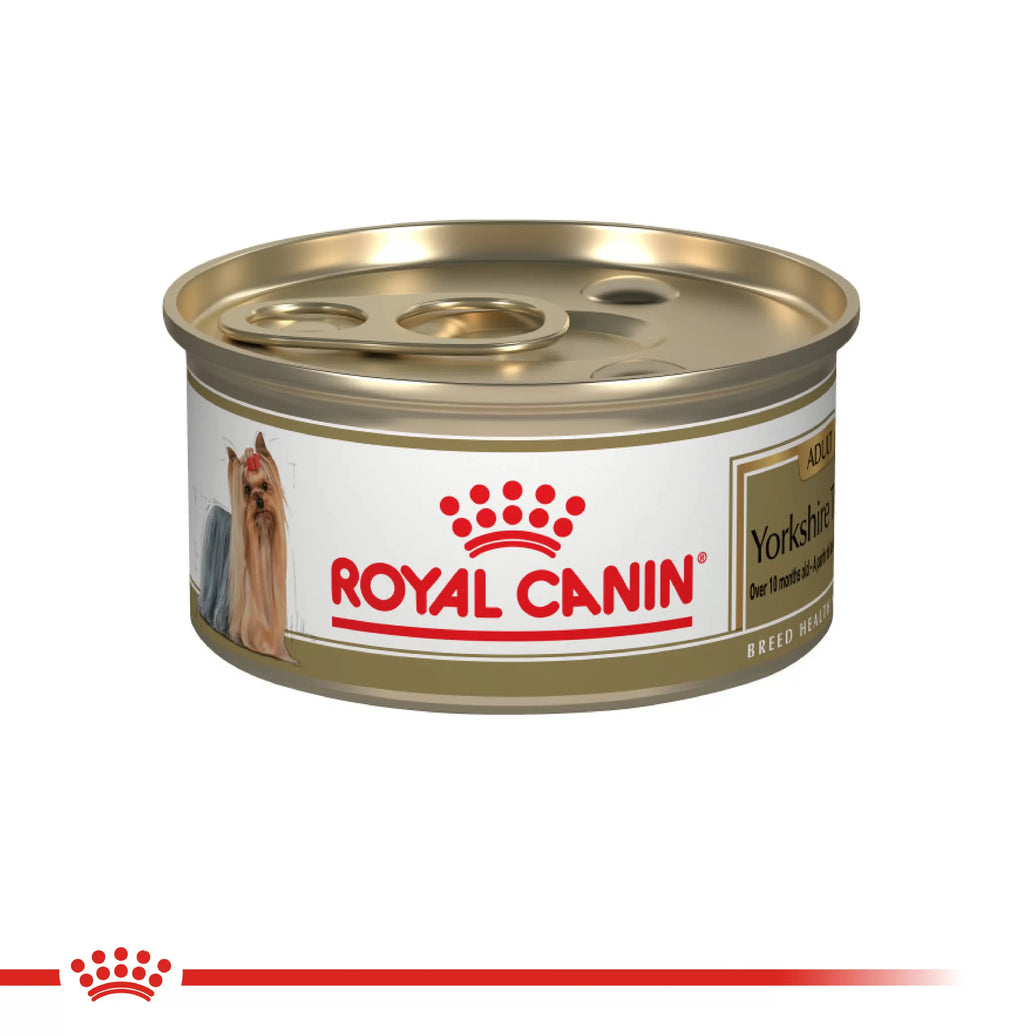 Lata Royal Canin Bhn Yorkshire Wet 85 Gr