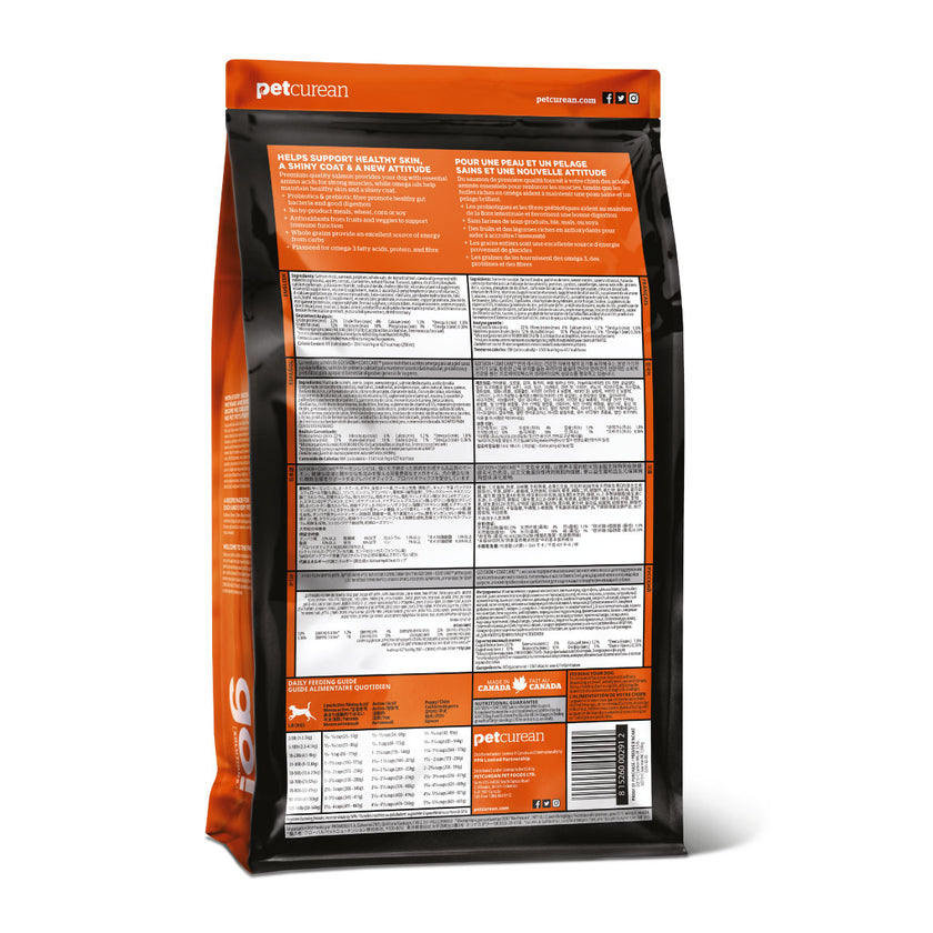 Go! Perro  Skin & coat Con Grano Salmon x 10 KG