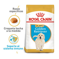Alimento Royal Canin Bhn Golden Retriever Puppy