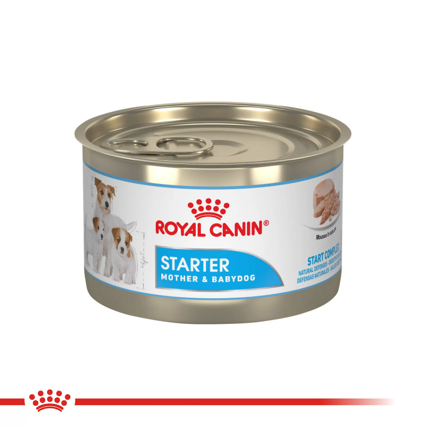Lata Royal Canin Chn Starter Mother & Baby Dog Wet 145 GR