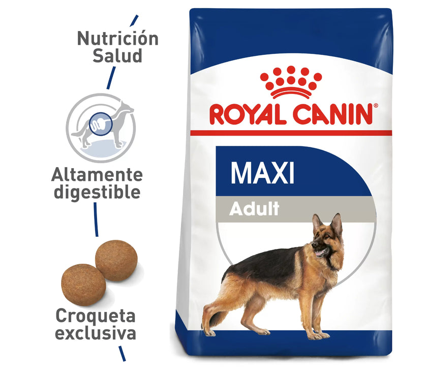 Alimento Royal Canin Shn Maxi Adulto - 4kg