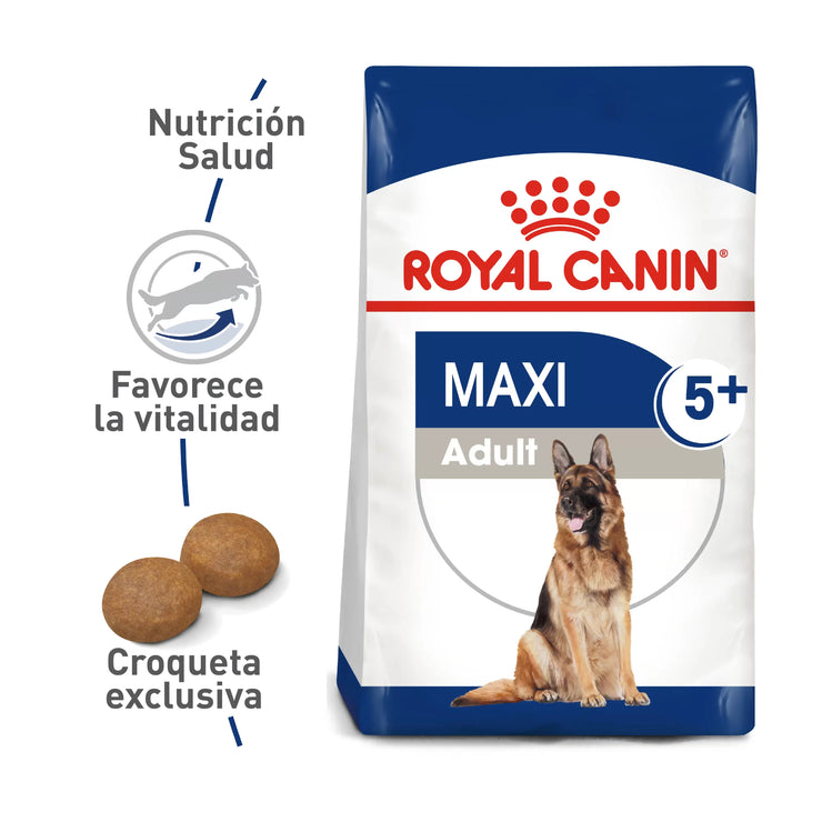 Alimento Royal Canin Shn Maxi Adulto  5+ 15Kg