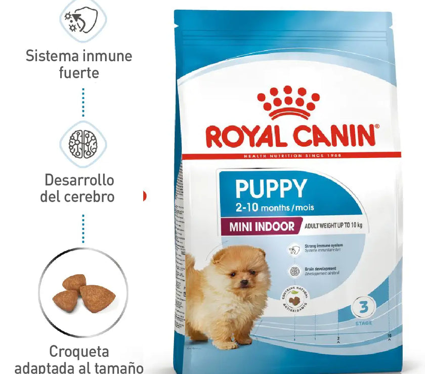 Alimento Royal Canin Shn Mini Indoor Puppy 1.5Kg