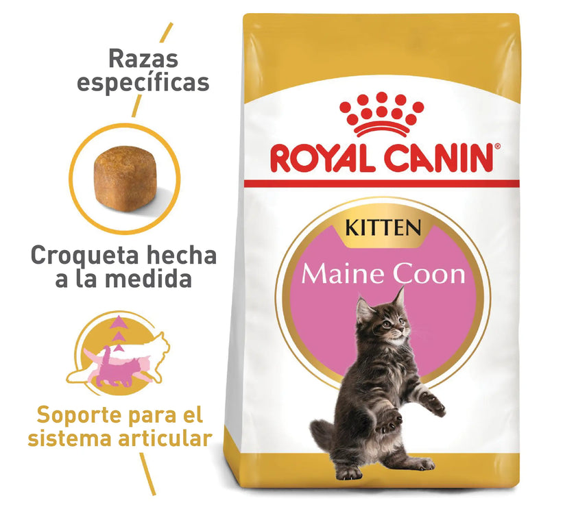 Alimento Royal Canin Fbn Maine Coon Kitten 4 Kg