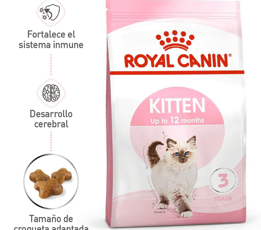 Alimento Royal Canin Fhn Kitten