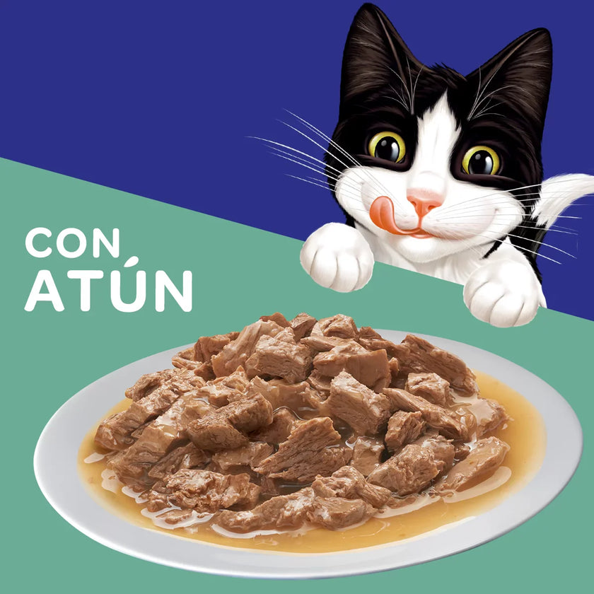 Alimento Húmedo Para Gatos Felix Atun En Salsa x 85 Gr