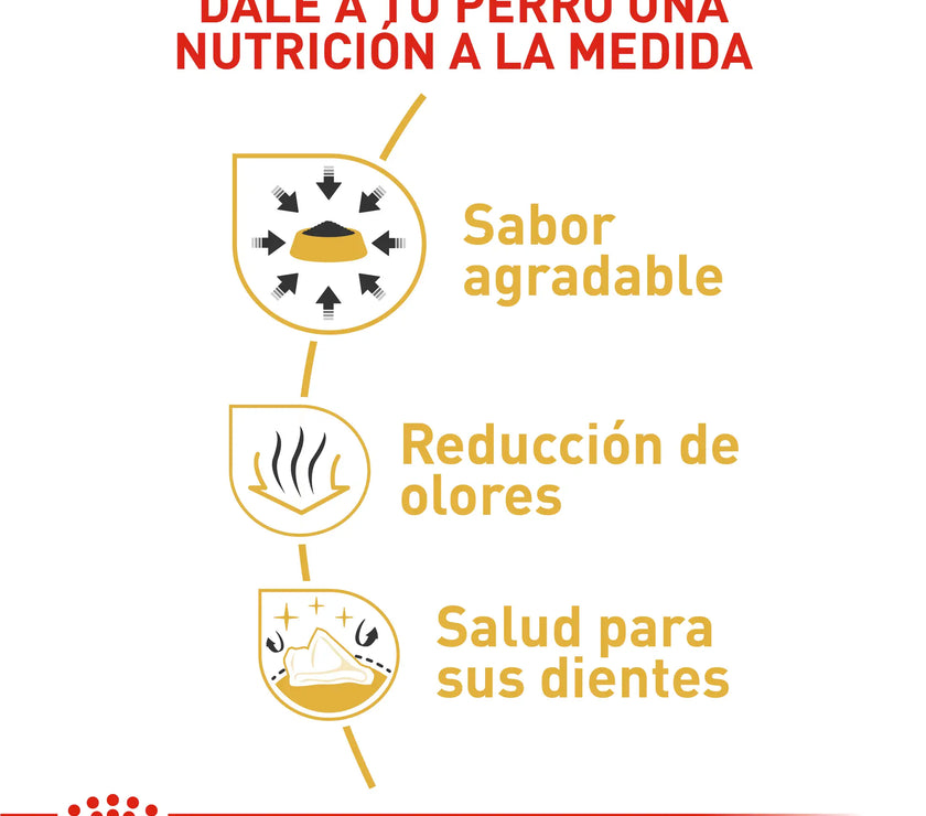 Alimento Royal Canin Bhn Chihuahua Adulto x 1.13 Kg