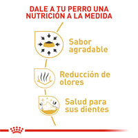 Alimento Royal Canin Bhn Chihuahua Adulto x 1.13 Kg