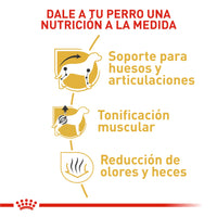 Alimento Royal Canin Bhn Dachshund Adulto x 1.5 Kg