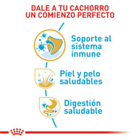 Alimento Royal Canin Bhn Golden Retriever Puppy