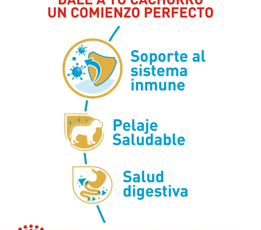 Alimento Royal Canin Bhn Poodle Puppy x 3 Kg