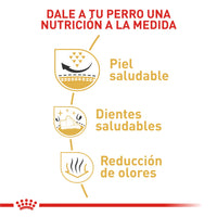 Alimento Royal Canin Bhn Shih Tzu Adulto