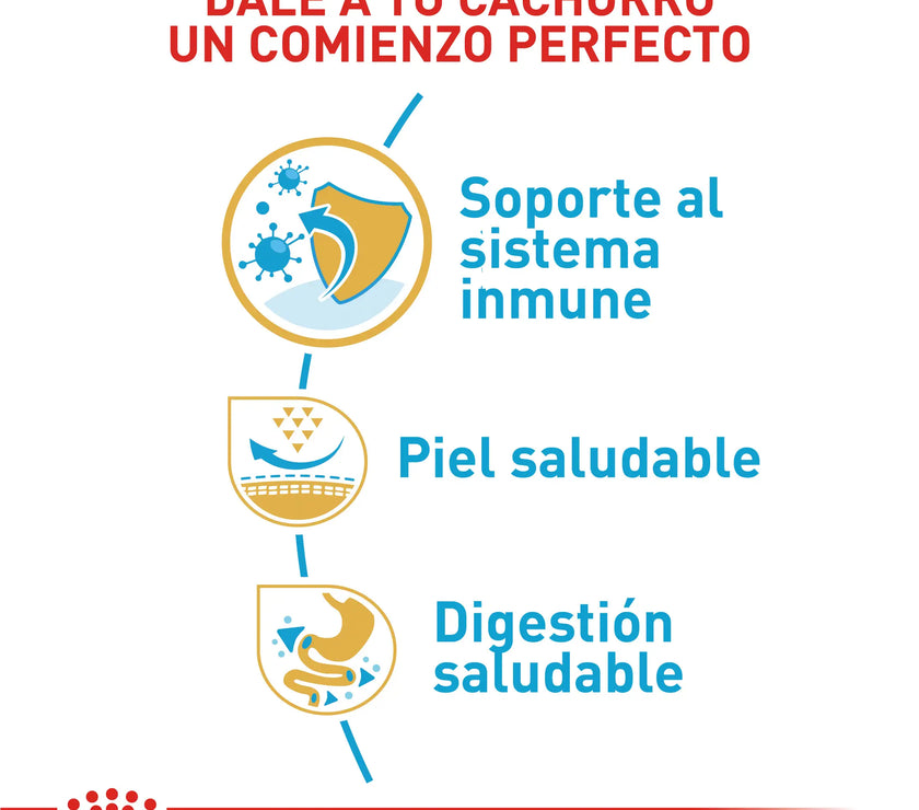 Alimento Royal Canin Bhn Pug Puppy x 1.13 Kg