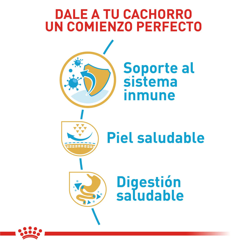 Alimento Royal Canin Bhn Pug Puppy x 1.13 Kg