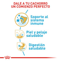 Alimento Royal Canin Bhn Shih Tzu Puppy 1.5 Kg