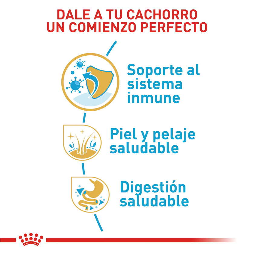 Alimento Royal Canin Bhn Shih Tzu Puppy 1.5 Kg