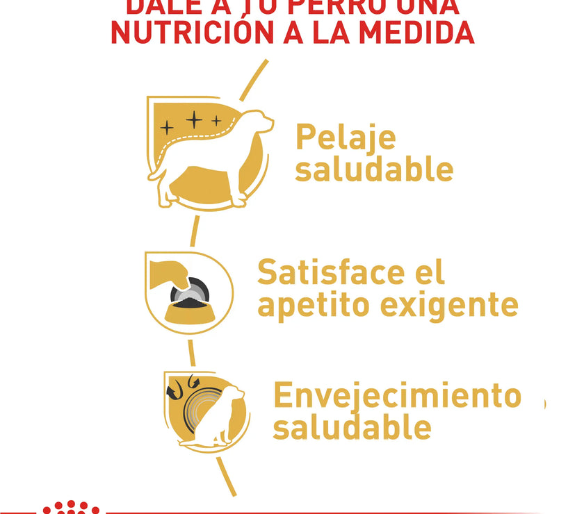 Alimento Royal Canin Bhn Yorkshire Adulto