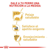 Alimento Royal Canin Bhn Yorkshire Adulto