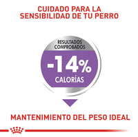 Alimento Royal Canin Ccn Mini Esterilizado Adulto