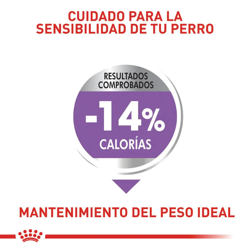 Alimento Royal Canin Ccn Mini Esterilizado Adulto