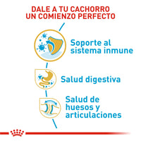 Alimento Royal Canin Bhn Bulldog Ingles Puppy