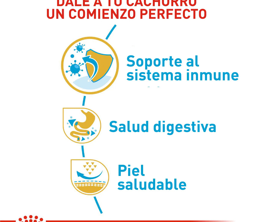 Alimento Royal Canin Bhn  Bulldog Frances Puppy