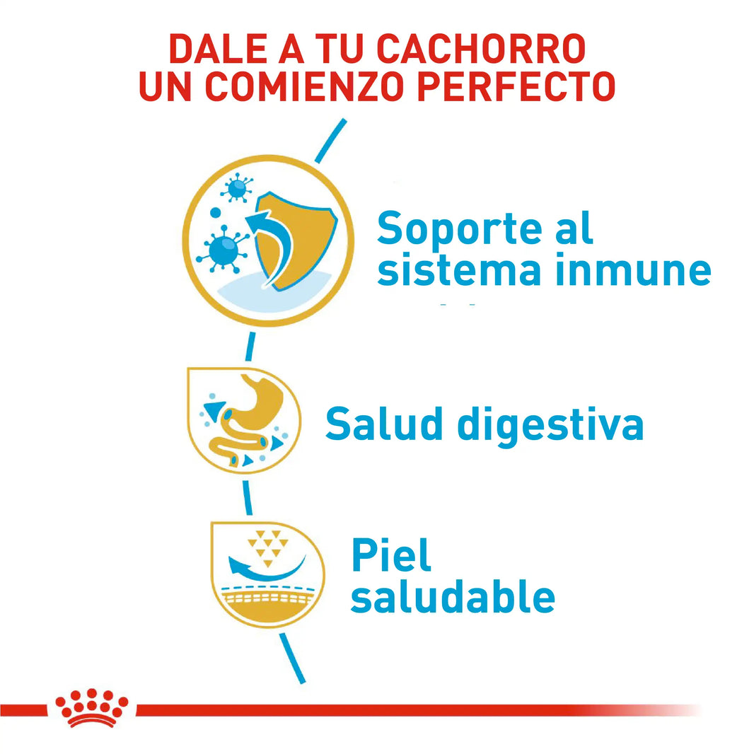 Alimento Royal Canin Bhn  Bulldog Frances Puppy