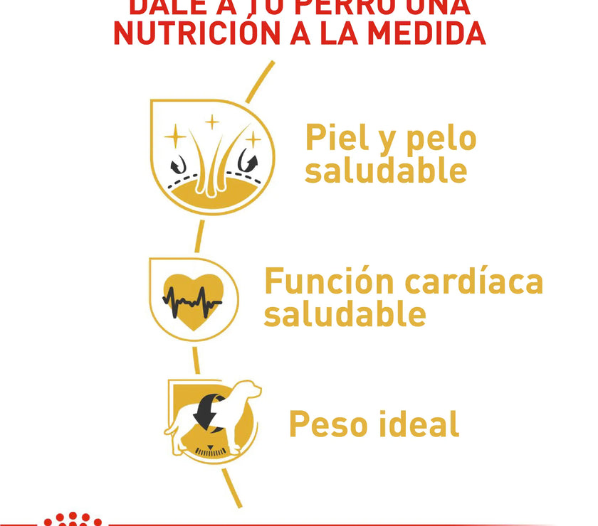 Alimento Royal Canin Bhn Golden Retriever Adulto x 13.6 Kg