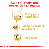 Alimento Royal Canin Bhn Golden Retriever Adulto x 13.6 Kg