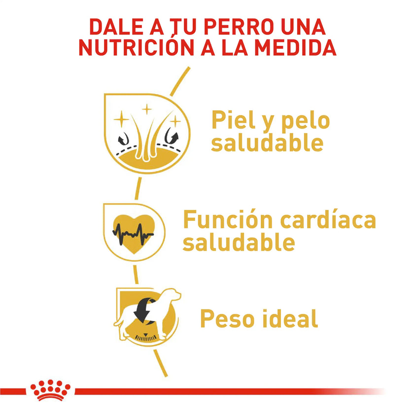 Alimento Royal Canin Bhn Golden Retriever Adulto x 13.6 Kg